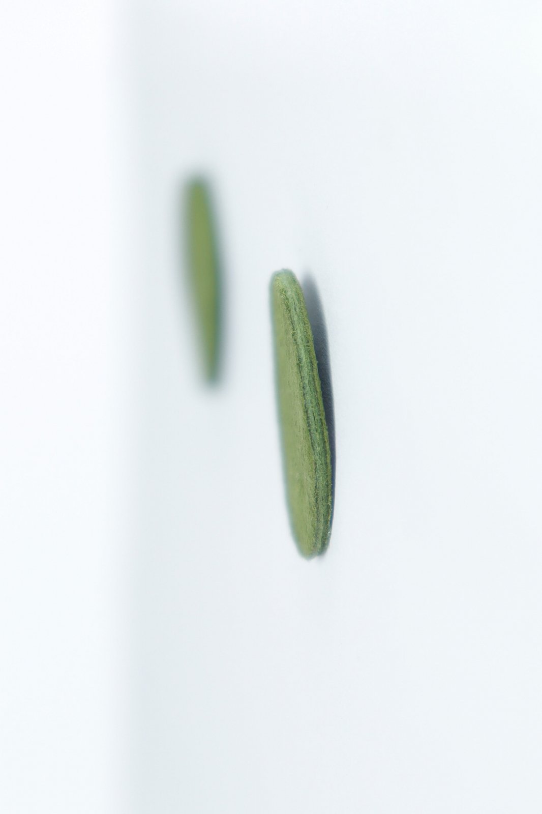 Cercei cerc - Verde